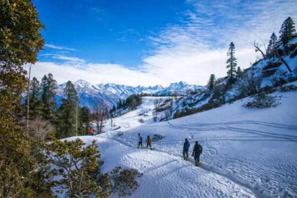 Shimla – Kullu – Manali Tour Package (6 Nights / 7 Days)